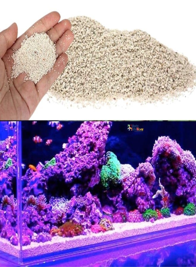 VAYINATO® 5Kg Aroganite Base Natural White Sand Suitable for Marine and Cichlid Tank by Petzlifeworld - Image 1
